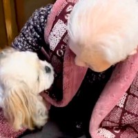 足腰の悪いおばあちゃんが『散歩に行こうと椅子から立った』結果→犬が心配をして…尊すぎる『ボディガード』の光景に称賛「相棒だ」「お利口」