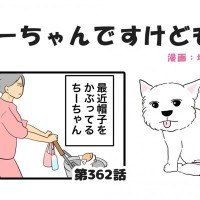 ちーちゃんですけどもっ【第362話】「なんだか笑う」