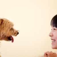 犬に絶対NGな『アイコンタクト』５選　恐怖や不安を与える可能性も…避けるべき理由まで解説