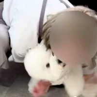 人間のことが苦手な犬→唯一『トリマーのお姉さん』が大好きで…愛に溢れている『再会の光景』に反響「甘えん坊な綿あめ」「めっちゃ可愛い」