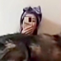 『それは無理やろｗｗ』どうしても膝に乗りたい大型犬→無理やりねじこんできて…サイズがおかしい『まさかの光景』が64万再生「クッションで草」