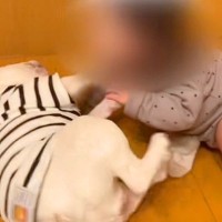 同じ大きさだった『小さな女の子と犬』が一緒に育った結果…5年後→微笑ましすぎる『成長の記録』に「愛おしい…」「可愛いやりとり」と絶賛の声