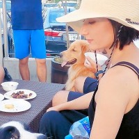 男性が触れると唸る『人見知りの犬』→女性の場合だと…あからさますぎる『態度の違い』が14万再生「デレデレで草」「やっぱり男の子ｗｗ」