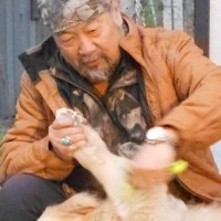 お父さんにブラッシングしてもらう大型犬→まるで『ヒツジの毛刈りのような光景』が28万表示「されるがままｗｗ」「めっちゃ可愛い」と反響