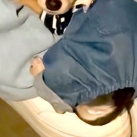 ビビりな赤ちゃん犬の初散歩→地面に降ろそうとすると…怯えすぎて見せた『まさかの行動と表情』が7万再生「心から愛おしい」「可愛すぎる」