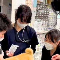 なぜか動物病院の処置室に集まる『4人の獣医師』→何をしているのかと思ったら…ほのぼのとした光景が16万再生「みんな可愛い」「幸せすぎ」