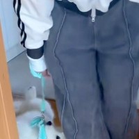 散歩未経験の大型犬パピー→『家の中で練習しようとした』結果…まさかの『やる気が無さすぎる光景』が41万再生「ぬいぐるみｗ」「無抵抗で草」