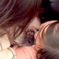 子供たちに囲まれた犬→妹がキスをしたら…愛されすぎた犬の『無を極めた表情』に幸せがあふれていると22万再生「優しい顔」「愛されワンコ」