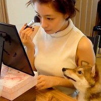 メイクをしていたら、犬が興味津々になって…まるで『人の女の子のような光景』が可愛すぎると反響「お化粧してほしいのかな？」「幸せな一コマ」