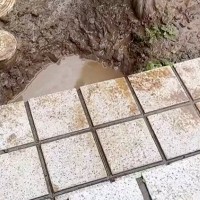 雨上がり『やけに大型犬が静かだな』と思い探した結果→お庭で遊んでいて…思わず叫びたくなる『絶望の光景』に反響「タヌキで草」「怒れないｗ」