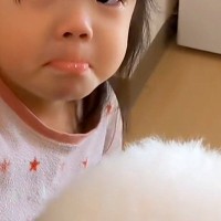 朝、3歳の女の子が『寝ている犬を起こそうとした』結果→反応がなく『死んでしまった』と勘違いして…愛に溢れた光景が52万再生「演技派ｗ」