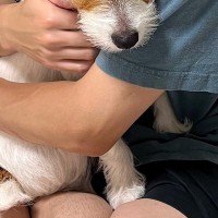 お父さんの腕の中で『怖い』と怯える犬→想定外だった『まさかの理由』と『数十秒後の姿』に2万いいね「確かに怖いかもｗ」「可愛すぎる」と絶賛
