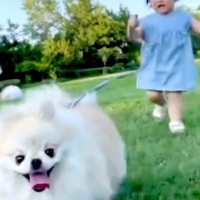 2歳の女の子が、生まれて初めて『犬の散歩』をしてみた結果→必死に食らいついて…どっちの散歩か分からない光景が295万再生「容赦なくて草」