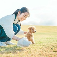 犬の『排泄物』からわかる健康状態とは？毎日のチェックが病気の早期発見に繋がることも