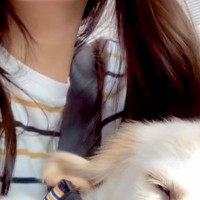 大型犬パピーを飼った初日→帰りの車内で『緊張してしまうかな』と思ったら…予想外な光景が98万再生「心開きすぎｗｗ」「もう幸せな家族」