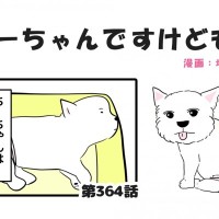 ちーちゃんですけどもっ【第364話】「今を大切に」