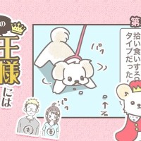 うちの王様にはどうしても抗えない【第360話】「拾い食い②」