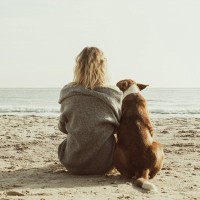 犬がもたらす幸せホルモン『オキシトシン』とは？愛犬と触れ合うことで得られる効果まで