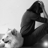 『貧乏な人』が犬を飼うとどうなるの？起こり得るリスクや必ず知っておくべき現実まで