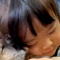 小さな女の子が『ムチムチの赤ちゃん犬を抱っこした』結果→たまらなく愛おしい『サイズ感』に悶絶の声「小さなママさん」「なんて微笑ましい」