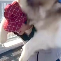 60キロの超大型犬が、橋の上で『歩きたくない』と駄々をこね…仕方なくおんぶした結果→修行のような光景が話題「腰がもたんｗ」「大変で草」