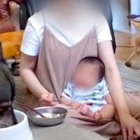 0歳児と2匹の犬と過ごす朝→みんなのご飯を同時に…忙しすぎる『ワンオペ育児の光景』に2万いいね集まる「みんなお上品すぎるｗ」「千手観音」