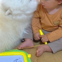 赤ちゃんが生まれた時からずっとそばにいる大型犬→思った以上に『クセの強い見守り方』が32万表示「アザラシ味がすごいｗ」「角度に笑った」