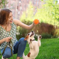 犬が『人に喋りかける』理由4選　鳴いてアピールしてくるときの心理とは？気持ちに応える方法まで