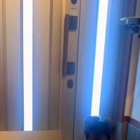 おばあちゃんと電話していたら、2匹の犬が察して…玄関で見せた『愛おしすぎる待ち姿』が7万再生「健気でかわいい」「大好きなのがわかる」