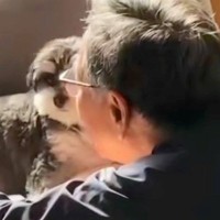 『犬だけは絶対に飼うな』と言っていた父→飼い始めてみると、ふたりで…嘘のような『現在の光景』に胸打たれると反響「泣ける」「やばい感動」
