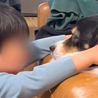 『男の子のおもちゃを大型犬が踏んでいる』と思ったので、どいてとお願いしたら…可愛いやり取りと結末が24万再生「一生見てたい」「ほっこり」