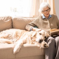 『耳が聞こえにくくなっている犬』がみせるサイン5選　聴力低下の原因や飼い主がすべき配慮まで