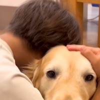 息子が泣いていると『大型犬』が必ず心配をしてくれて…あまりにも尊い『家族愛に溢れた記録』が23万再生「泣けてきた…」「セラピー犬だね」