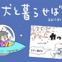 犬と暮らせば【第546話】「イケてる太陽」