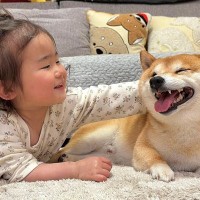 ハイハイをする1歳の女の子→見ていた犬が『負けられない』と意気込み…まさかの『真似っ子』をする光景が39万再生「威厳ｗｗ」「たまらん」