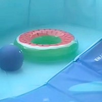 プールの水をすべて抜いた結果→楽しく遊んでいた犬が『絶望』してしまい…この世の終わりな光景が41万再生「子供みたい」「背中の哀愁ｗｗ」