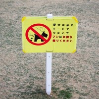 なぜ犬のウンチの『路上放置』がなくならないの？身勝手な行動がトラブルを引き起こすことも