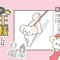 うちの王様にはどうしても抗えない【第361話】「拾い食い③」
