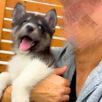 小さくて尊い赤ちゃん犬と写真撮影→4ヶ月後、同じように撮ってみたら…『本当にまだ子犬？』信じられないほどの『巨大化』に思わず驚き