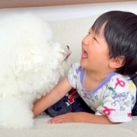 男の子が生まれてからずっと『犬と一緒に過ごした』結果…お互いに愛が止まらない『素敵すぎる記録』が12万再生「幸せの象徴」「涙出てきた」