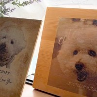 『もう犬は飼わない』ワンコを亡くした50代女性→ある日、同じ誕生日の子犬と偶然出会い…『素敵な物語』に反響「運命ってあるんだ」「幸せに」