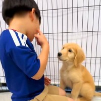なぜか『子犬』を呼んだ小さな男の子→『何をするのかな？』と思ったら…「相思相愛」「ふたりとも可愛すぎ」とんでもなく尊い光景に思わず悶絶