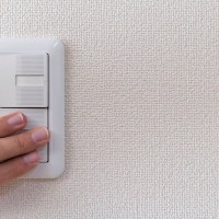 犬を留守番させるとき『電気』はつけて行くべき？どのぐらいの明るさがベストなの？
