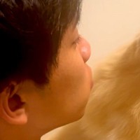 おしっこ失敗した犬が『パパに怒られた』結果→寝たふりをして…まさかの『表情』が329万再生「どこで覚えたん？ｗｗ」「薄目開けてて草」