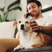 犬を『人間扱い』絶対NGな理由６選　人と同じように接することで起こり得るトラブルやリスクまで