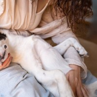 犬に好かれる飼い主がしている『育て方』５選　信頼関係を築くための接し方や押さえておきたいポイントまで