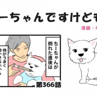 ちーちゃんですけどもっ【第366話】「体調の変化」