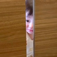 生まれた瞬間から犬と育った赤ちゃん→朝の散歩から帰ると、ドアの向こうで…あまりにも尊い光景が26万再生「仲良しで素敵」「見つめ合ってる」