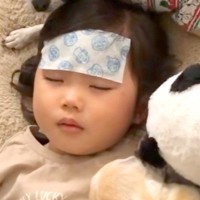 3歳の女の子が『熱で寝込んでしまった』結果→犬たちが心配をして…あまりにも『尊すぎる光景』が65万再生「自然と涙が…」「なんて羨ましい」