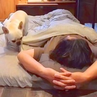 夜、寝転がっているときに『犬が寄り添ってきた』と思ったら…とんでもなく尊い『おねんねの光景』が8万再生「幸せすぎるうう」「羨ましい」